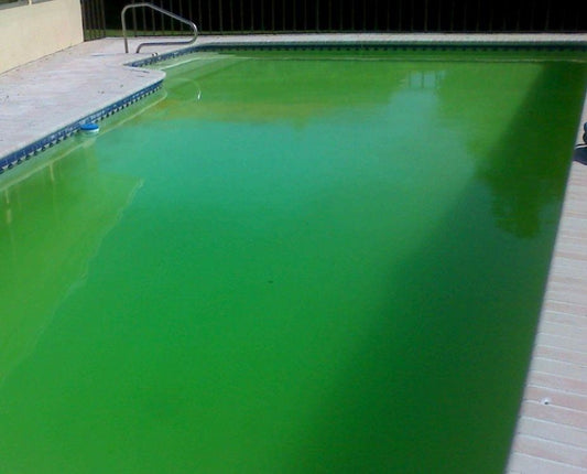 Pool cleaning: HEAVY CLEAN! Water shock & Algae clean. Pools up to 12x30.