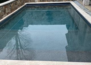 Pool Cleaning - WINTER SPECIAL FOR POOLS UP TO 12x30! 12 cleanings for the price of 10